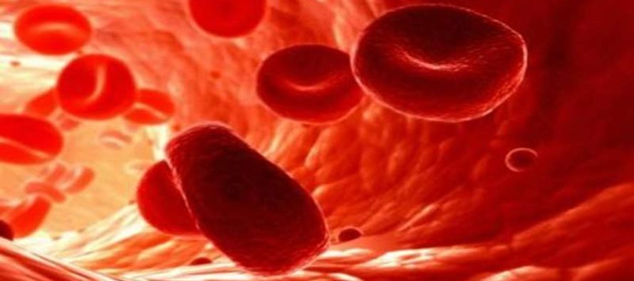 Ministério da Saúde avança no tratamento da hemofilia no País