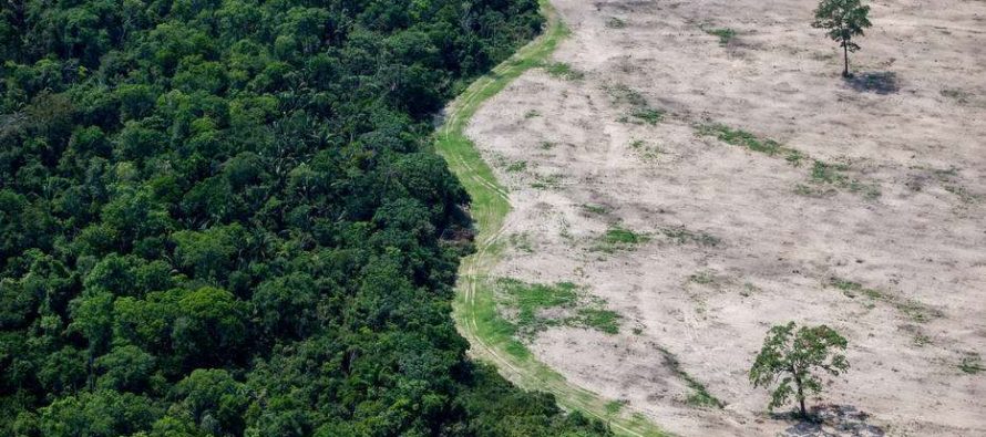Petição em defesa da Amazônia tem mais de 600 mil assinaturas