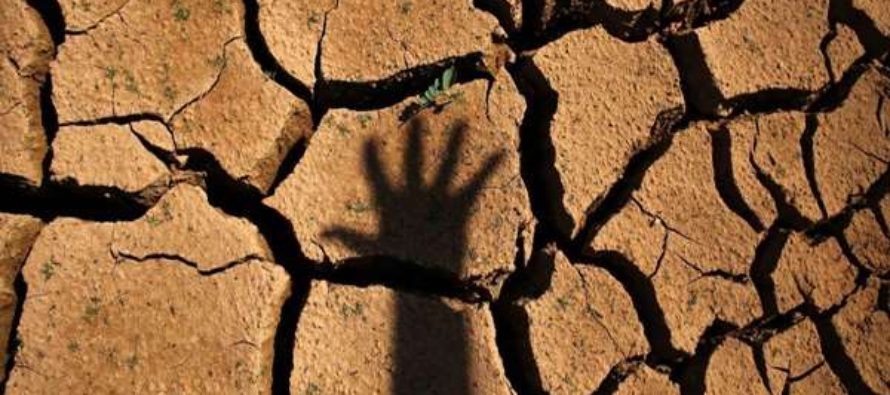 Crise hídrica:  Medidas tardias e insuficientes para solucionar crise