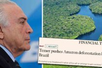Golpista Temer acaba com reserva na Amazônia e deixa o mundo em alerta